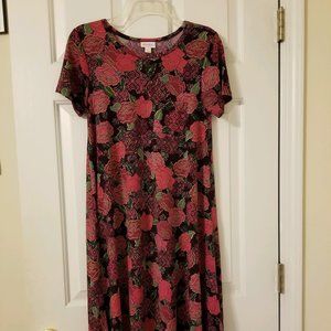 LuLaRoe XXS Carly Dress